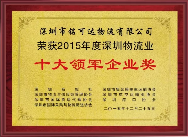 十佳领军企业奖