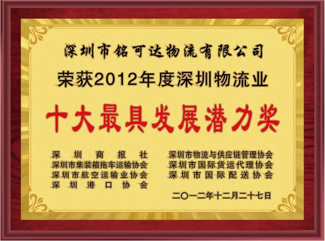 十大最具发展潜力奖