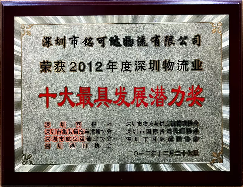 十大最具发展潜力奖