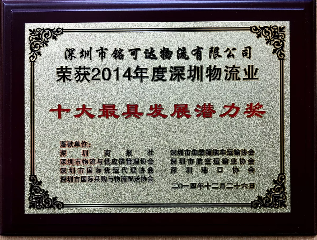 十大最具发展潜力奖